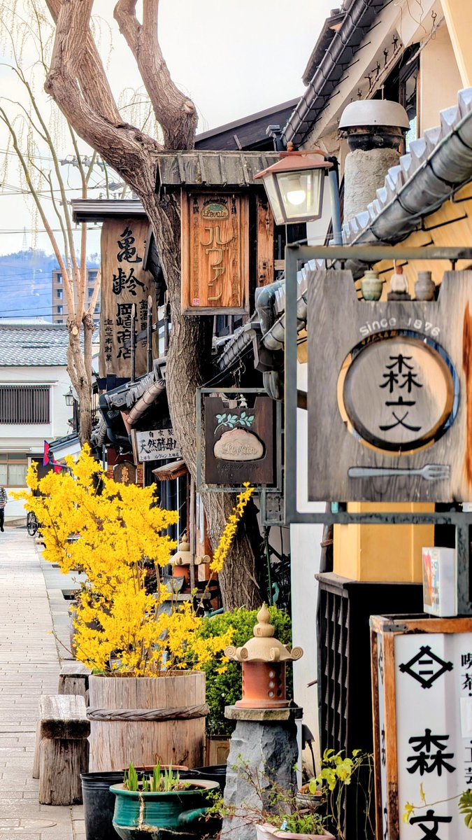 YanagimachiUeda's tweet photo. 上田市の伝統工芸「農民美術」の作家さんが手掛けたオリジナルの看板にも注目してみてくださいね😊

#上田市 
#上田城下町
#柳町
#看板 https://t.co/GiboNCosot