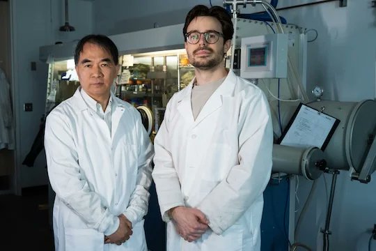 Scientists at Rice University have discovered how a disappearing  electronic pattern in a quantum material can be revived under specific thermal conditions. news.rice.edu/news/2025/rese…