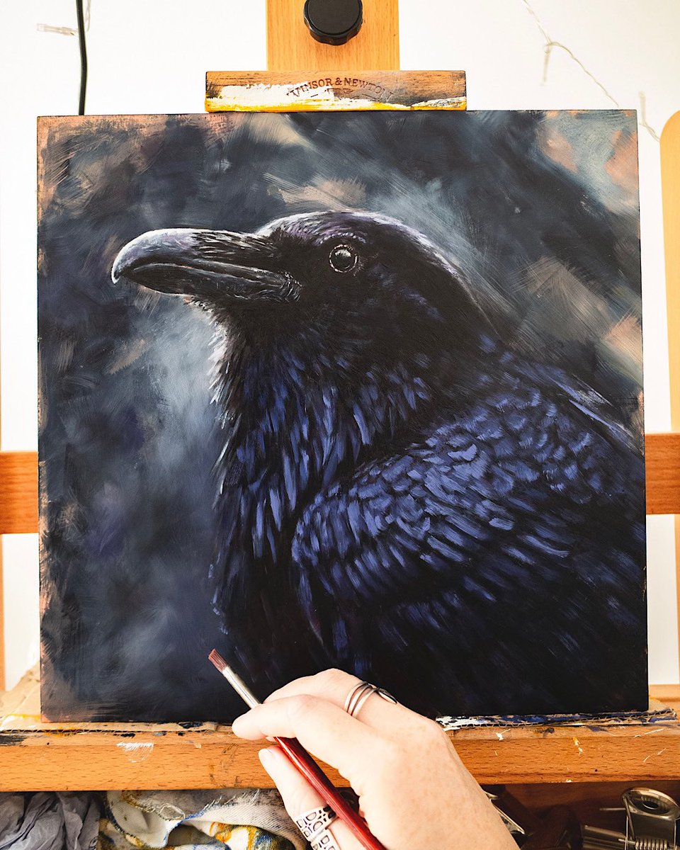 This patient raven has been waiting in the studio for a few months now, so it was definitely time to paint a few glorious feathers on him! 🖤✨ He still needs a few more layers of paint so I’m sure his sweet face will be gracing your feed again soon!! Raven, oils on 12x12” board.