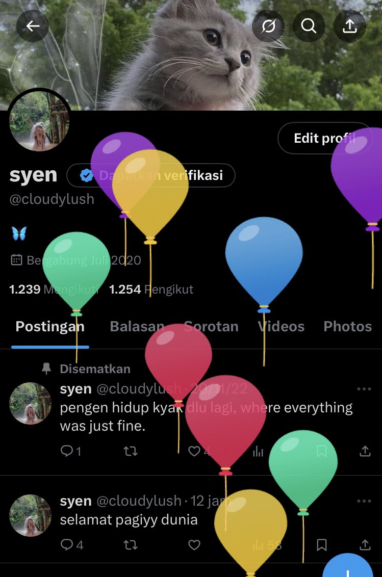 cloudylush's tweet image. bnyak balonn yeyy🎈🎈