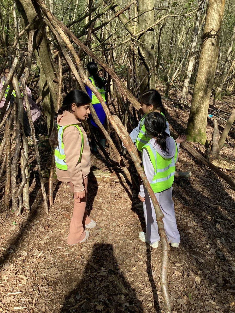 Wyndcliffe Primary School tweet media