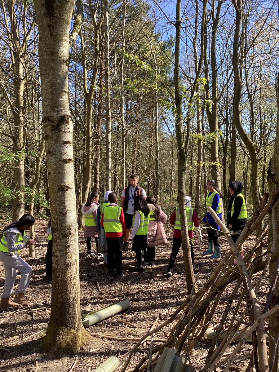 Wyndcliffe Primary School tweet media