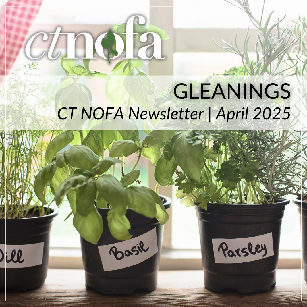 The April edition of Gleanings is here, with updates from both CT NOFA and the NOFA Interstate Council. mailchi.mp/ctnofa/gleanin…