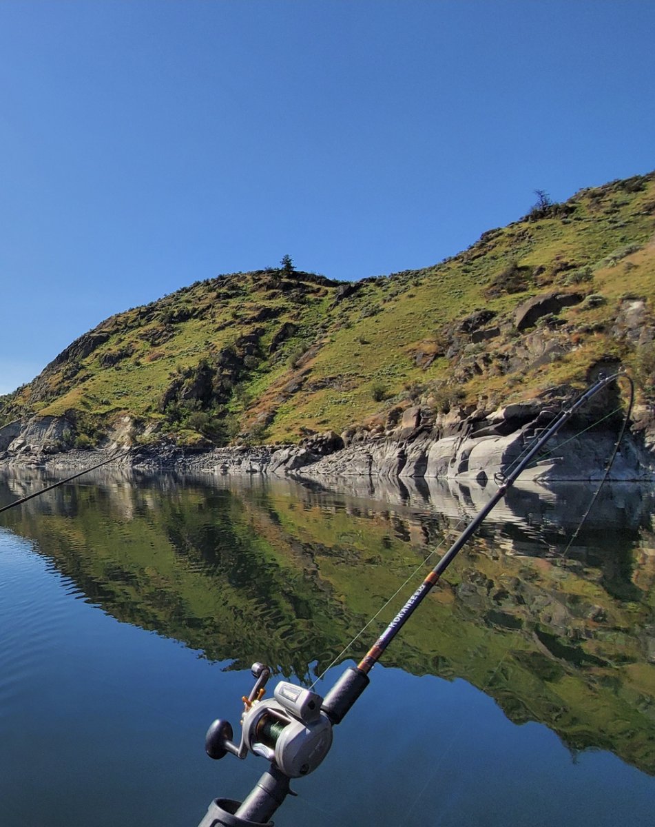 campcastdaily's tweet image. Trolling Tips Thursday: Troll with a diving plug like this amzn.to/4jrnDh9 at 1.5-2 mph near drop-offs—big fish lurk in the deeper zones! What’s your favorite trolling lure? Share your tips below! #TrollingTipsThursday #FishingLife #SpringFishing #CampCastDaily