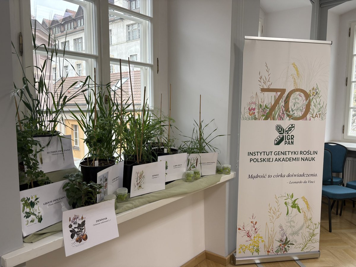 GrumpieKate's tweet photo. We had a blast at the Poznański Festiwal Nauki I Sztuki!
On April 9, a team from IGR PAN led a workshop ‘From Seed to Yield. Fungal Saboteurs in Action’. Thanks for being with us and see you next year! 
#science #education #popularization #crop #fungi https://t.co/nySWT5hptP