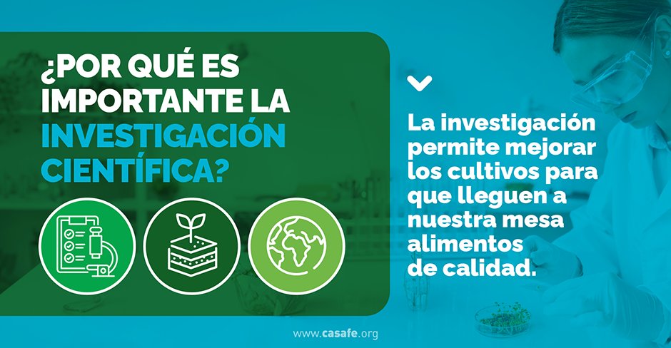 CasafeOk's tweet photo. 🔬La innovación y la investigación científica nos permiten convertir ideas en soluciones. ¡Gracias a cada persona que dedica su vida a nuestro progreso!

#innovacion #investigacion #diadelainvestigacioncientifica #alimentos #investigacioncientifica #desarrollo #agro #campo https://t.co/CsBKMcGjvE