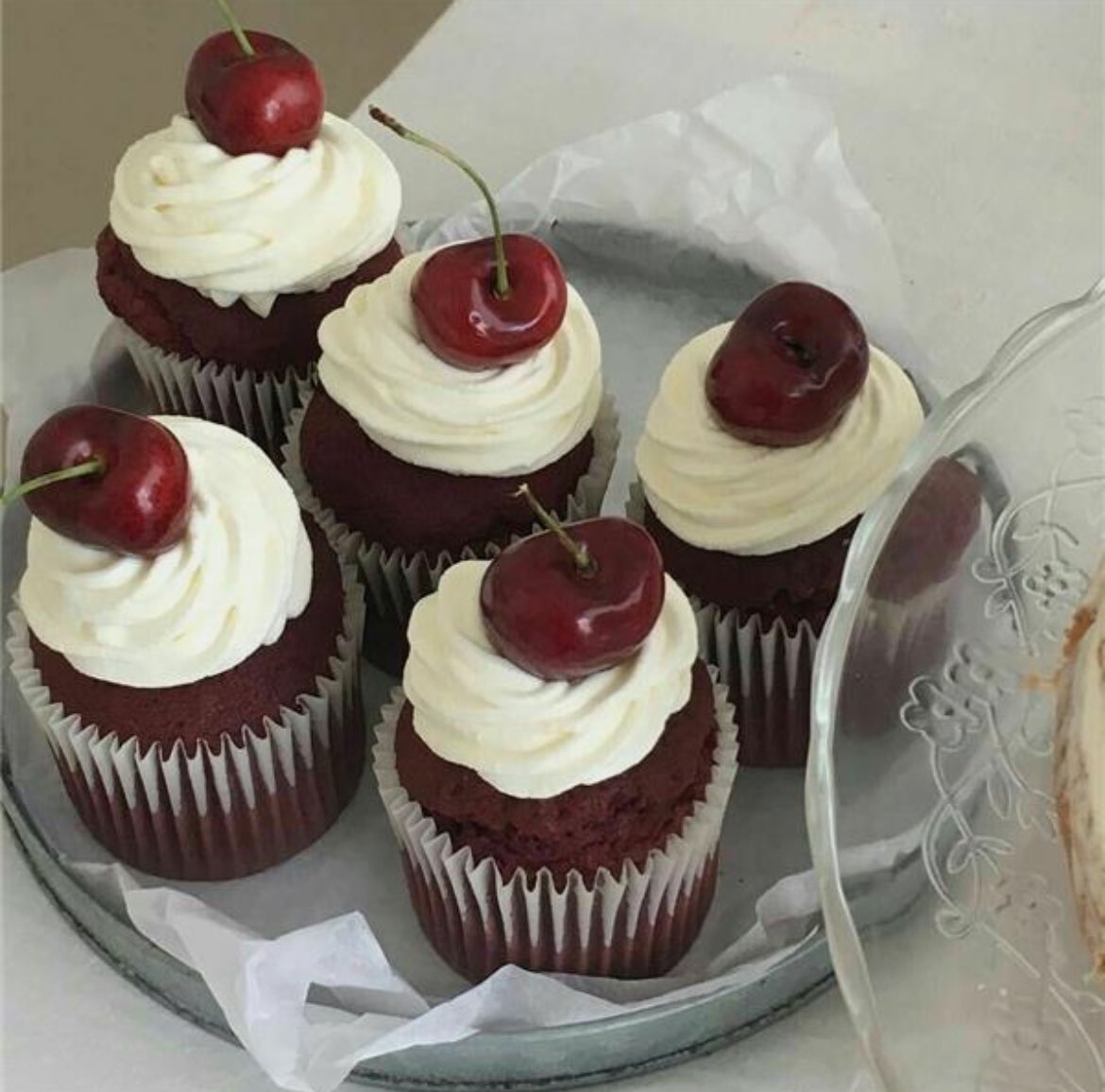 Golden_crust_1's tweet photo. Our selection of cupcakes 🧁 #bestbakery #cafenearme #perfectpastries #bakeryandcafe https://t.co/bq9YTVUD0u