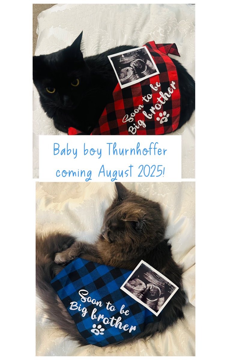 Bob Thurnhoffer tweet media