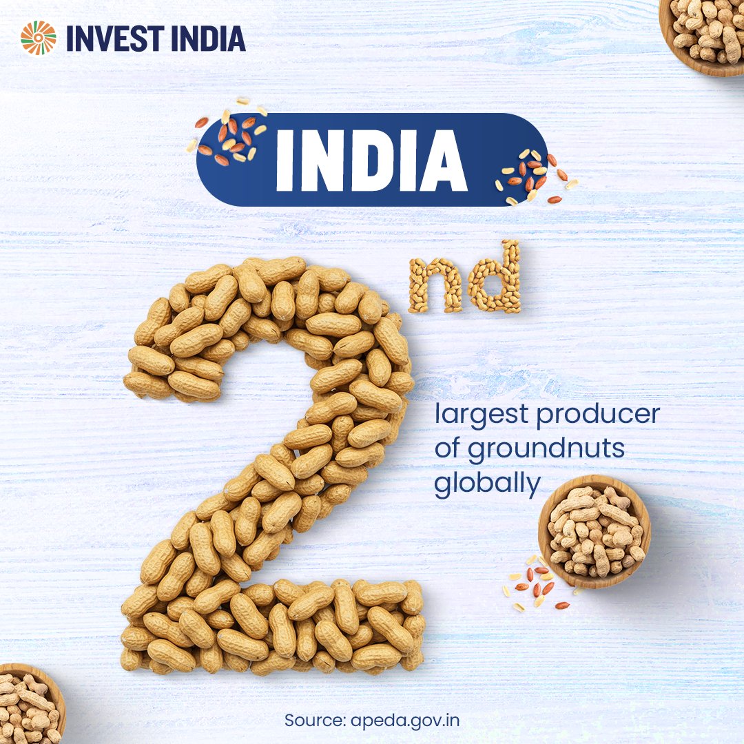 investindia's tweet photo. India’s #groundnut dominance is more than agricultural strength — it’s a springboard for agro-processing, exports & scalable value chains.🌾
Know more: https://t.co/oUyUHLl3aC
#InvestInIndia #GroundnutProduction @DoC_GoI @AgriGoI @APEDADOC @fooddeptgoi @MOFPI_GOI @iChiragPaswan https://t.co/Hs05p4L188