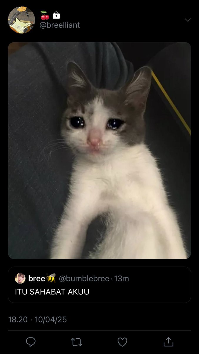 ؘ 𝓶𝓲𝓬𝓲☆ tweet media