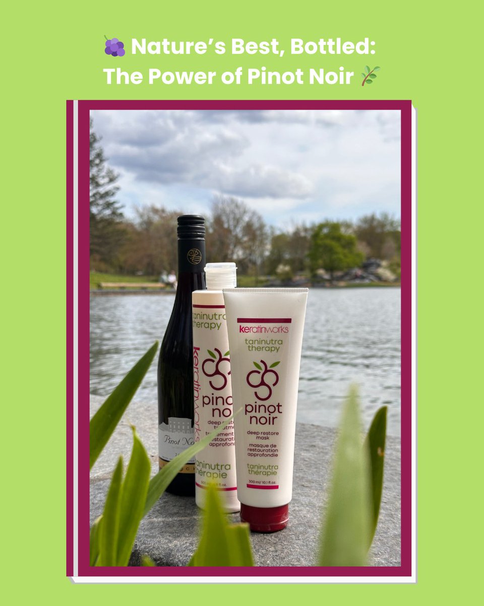 KeratinWorks's tweet image. 🍇✨ PROS ONLY! The **Pinot Noir Taninutra Deep Restore System** is vegan, clean &amp;amp; packed with nature’s best for deep repair, shine &amp;amp; frizz control. 🌿 Exclusive to licensed hairstylists! 💇♀️  

#ProOnly #VeganHairCare #HairRestoration