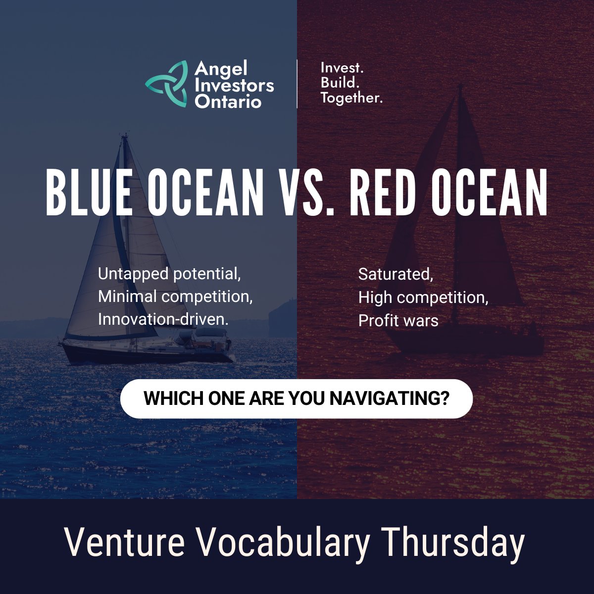 🌊 Venture Vocabulary Thursday
This week’s term: Blue Ocean vs. Red Ocean

Blue Ocean: Untapped markets with little competition.
Red Ocean: Crowded, competitive markets.

Understanding the difference is key to choosing the right strategy for your business!