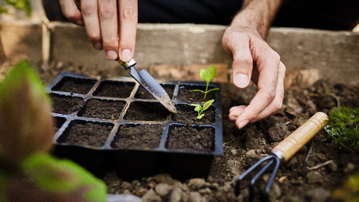 The Store Next Door tweet media