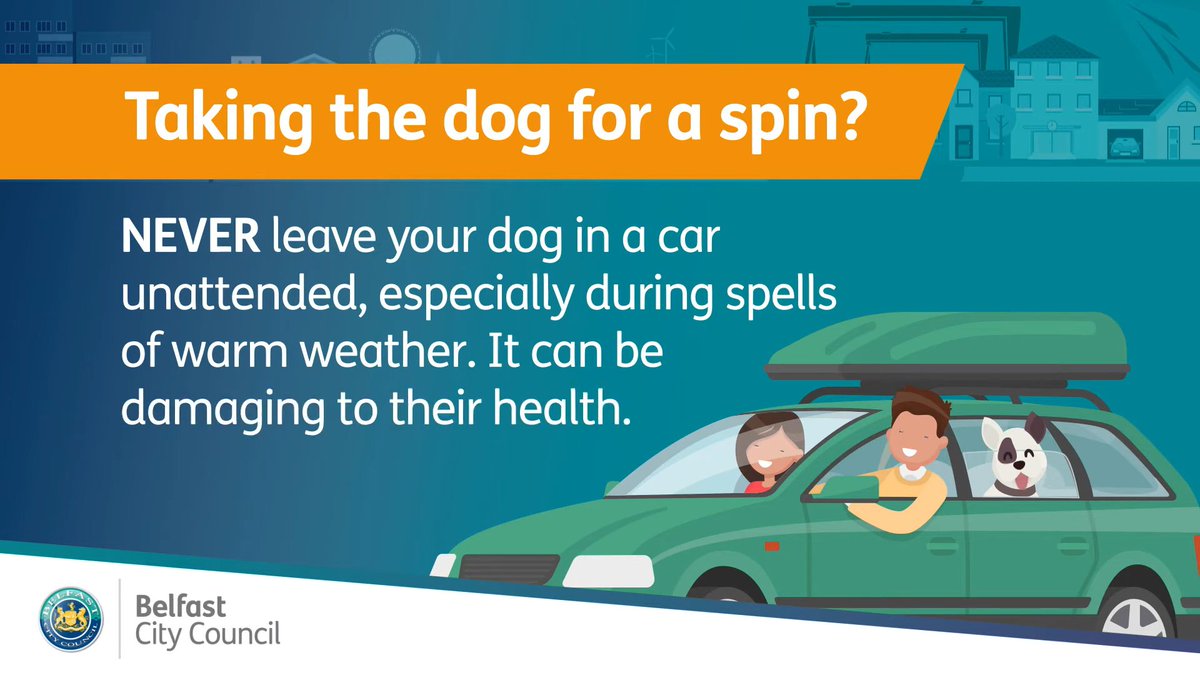Never leave your dog in a hot car – not even for a minute

Even with the windows cracked, the temperature inside a car can rise rapidly. In just 15 minutes, a dog can suffer heatstroke, which can be fatal.