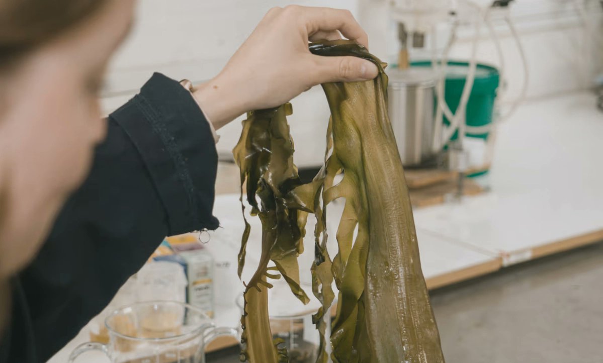 beonloop's tweet photo. 🌊 ¿El fin del plástico? Notpla lo está logrando con envases de algas biodegradables y comestibles 🌱
Innovación, sostenibilidad y futuro en un solo proyecto.

👉 https://t.co/WPDB7lKAur

#Beonloop #beclean https://t.co/X3VF7G5ZiQ