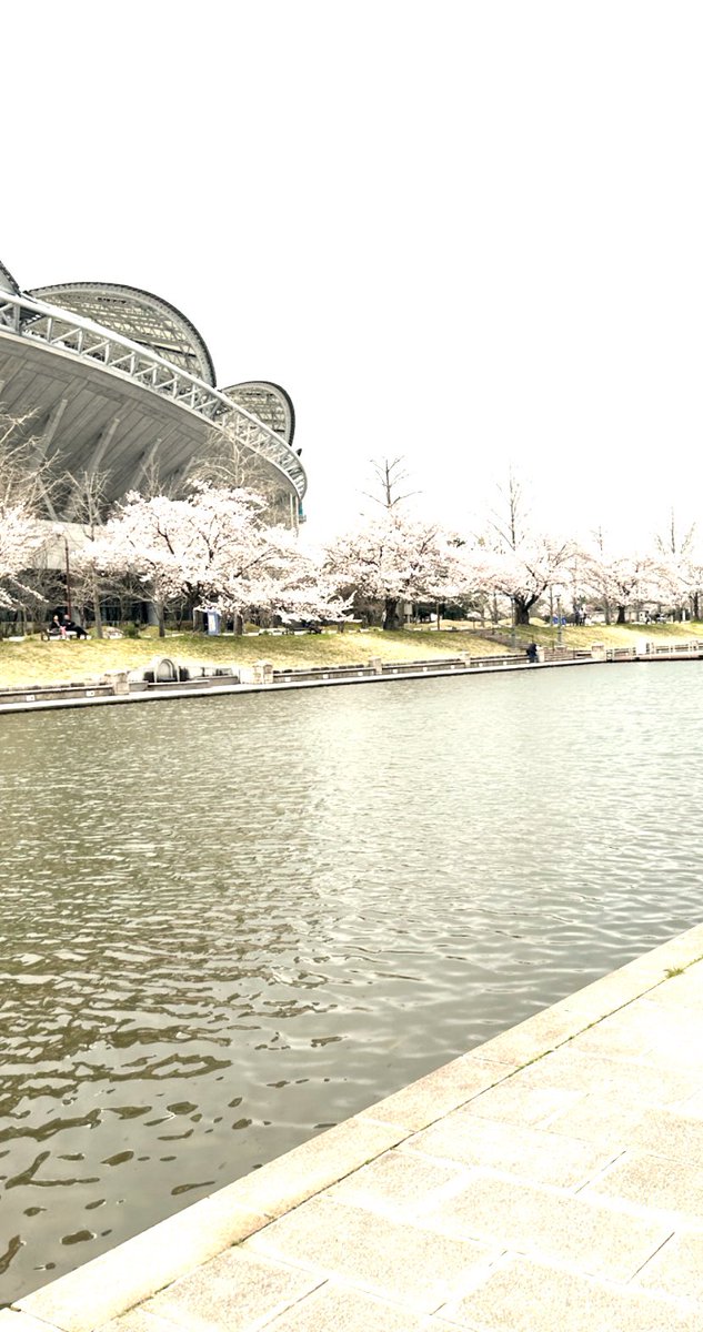 i_deborah's tweet photo. お花見🌸 https://t.co/cT8RRHuzbf
