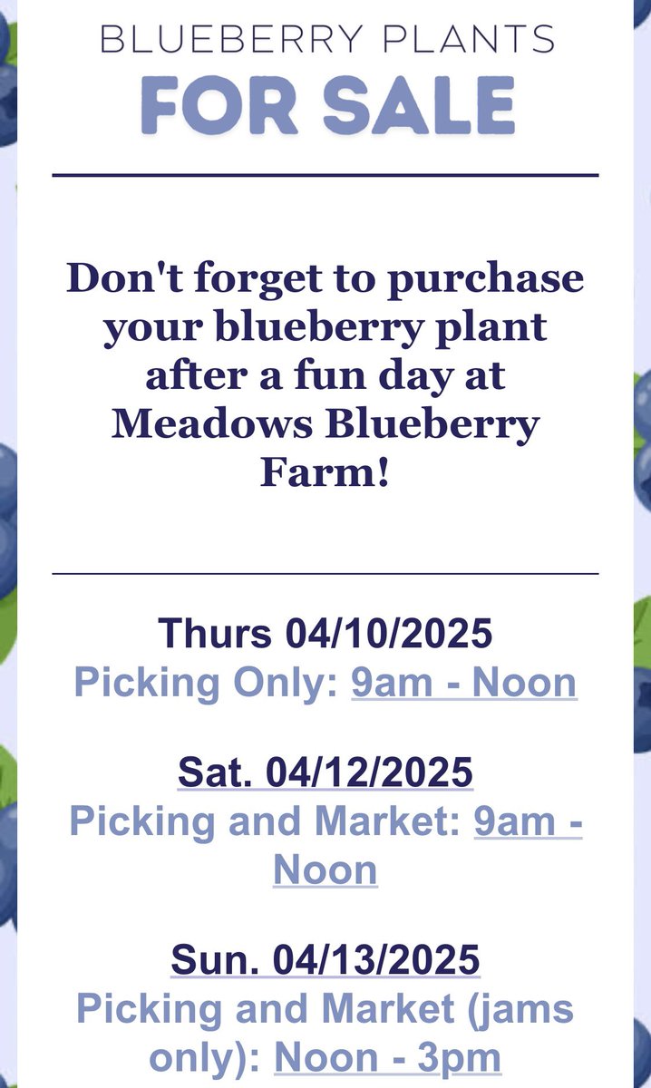 Blueberry Plants For Sale! 1 for $10 or 3 for $20!!