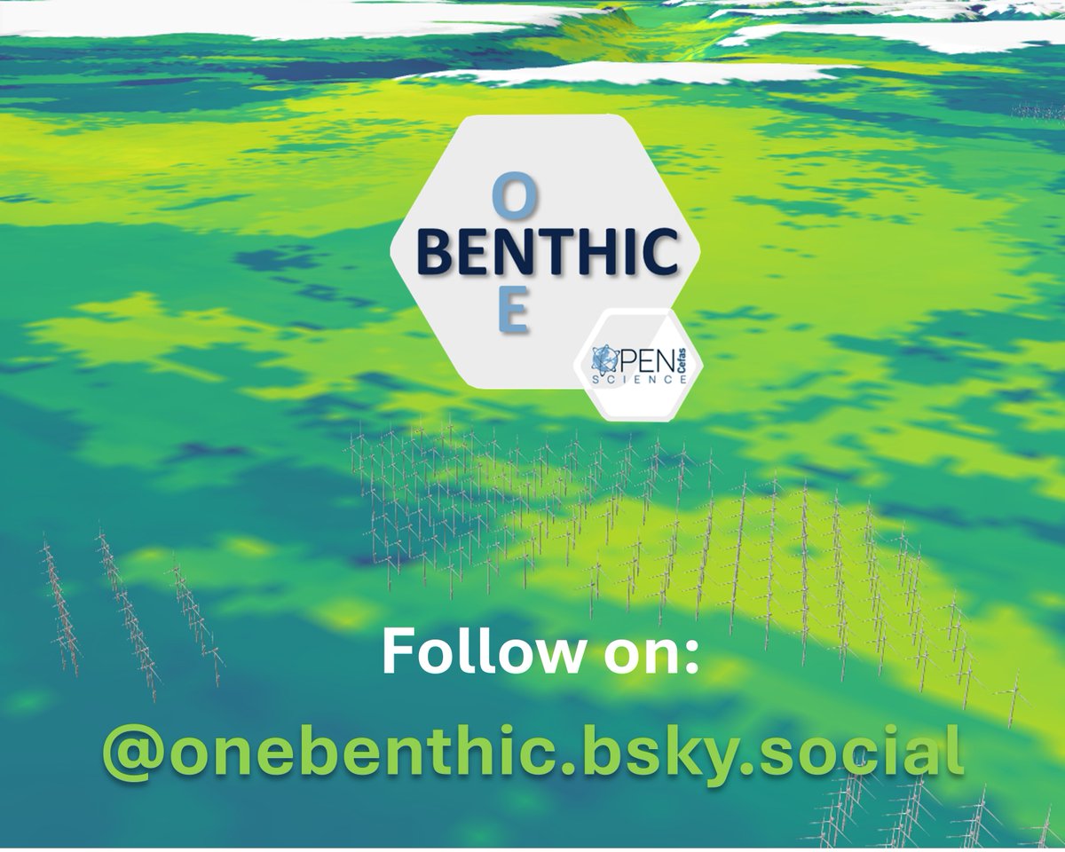 OneBenthic's tweet photo. "Exciting updates ahead! 🚀 Expect a wave of new outputs including #models, #papers, and #Rshinytool in the coming months. Stay tuned! 🌊 #benthos #biodiversity #bigdata #machinelearning #Rshiny" https://t.co/7ioKlmnzrm