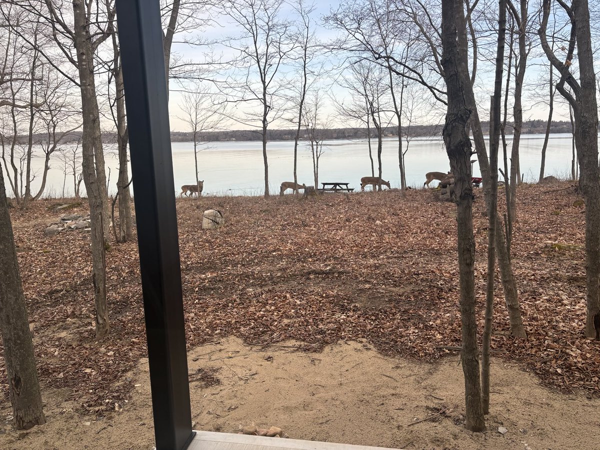 waterkeepermark's tweet image. Traffic along the river trail this morning. #biinaagami @swimdrinkfish