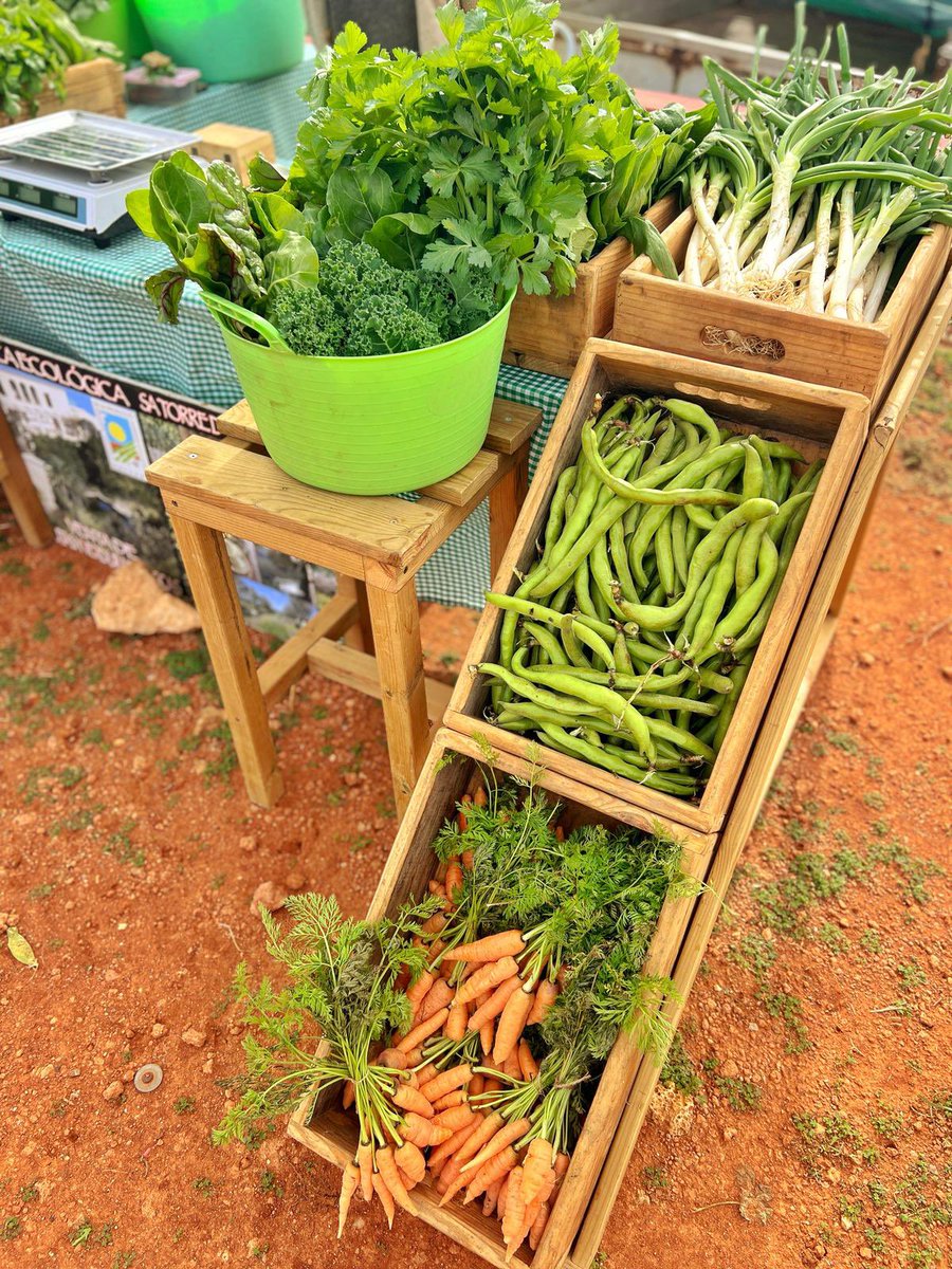 Rte es ventall tweet media