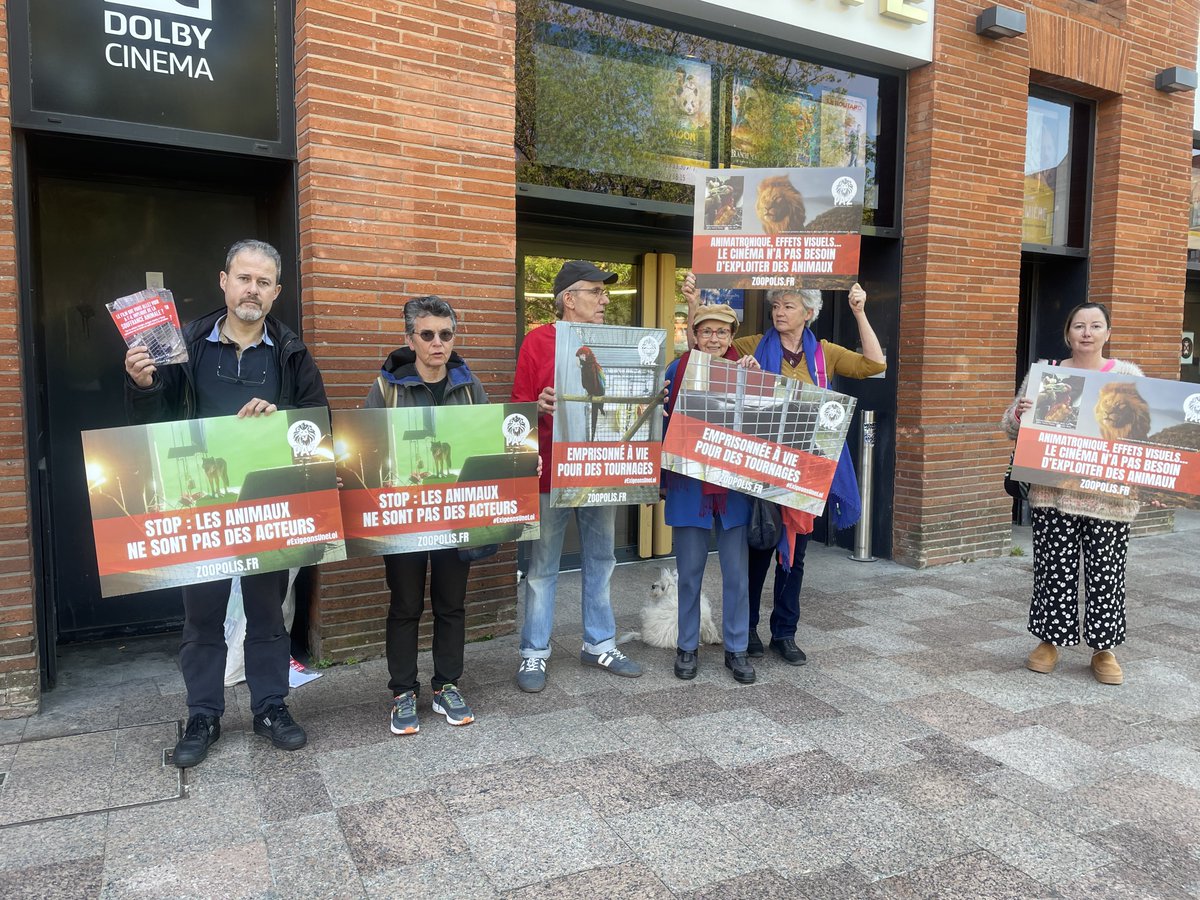 paz_zoopolis's tweet photo. #MoonLePanda : Action de sensibilisation à #Toulouse devant le @PatheFilms Wilson pour dénoncer l'utilisation de véritables pandas pour le tournage !🐼

Les animaux ne sont pas des acteurs. #StopCaptivité https://t.co/AdM4f0g4fj