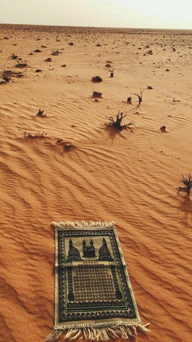 hade1400's tweet photo. أخاف الله . . و هذا خوفي الأشجع  
وأخاف أيضًا من اللي ما يخاف الله .. https://t.co/zSzXygCu5l