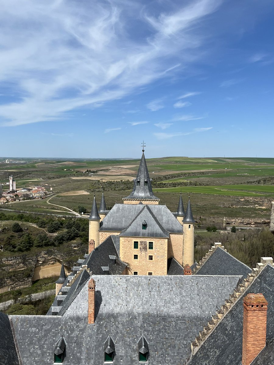 フリード/Friede tweet media