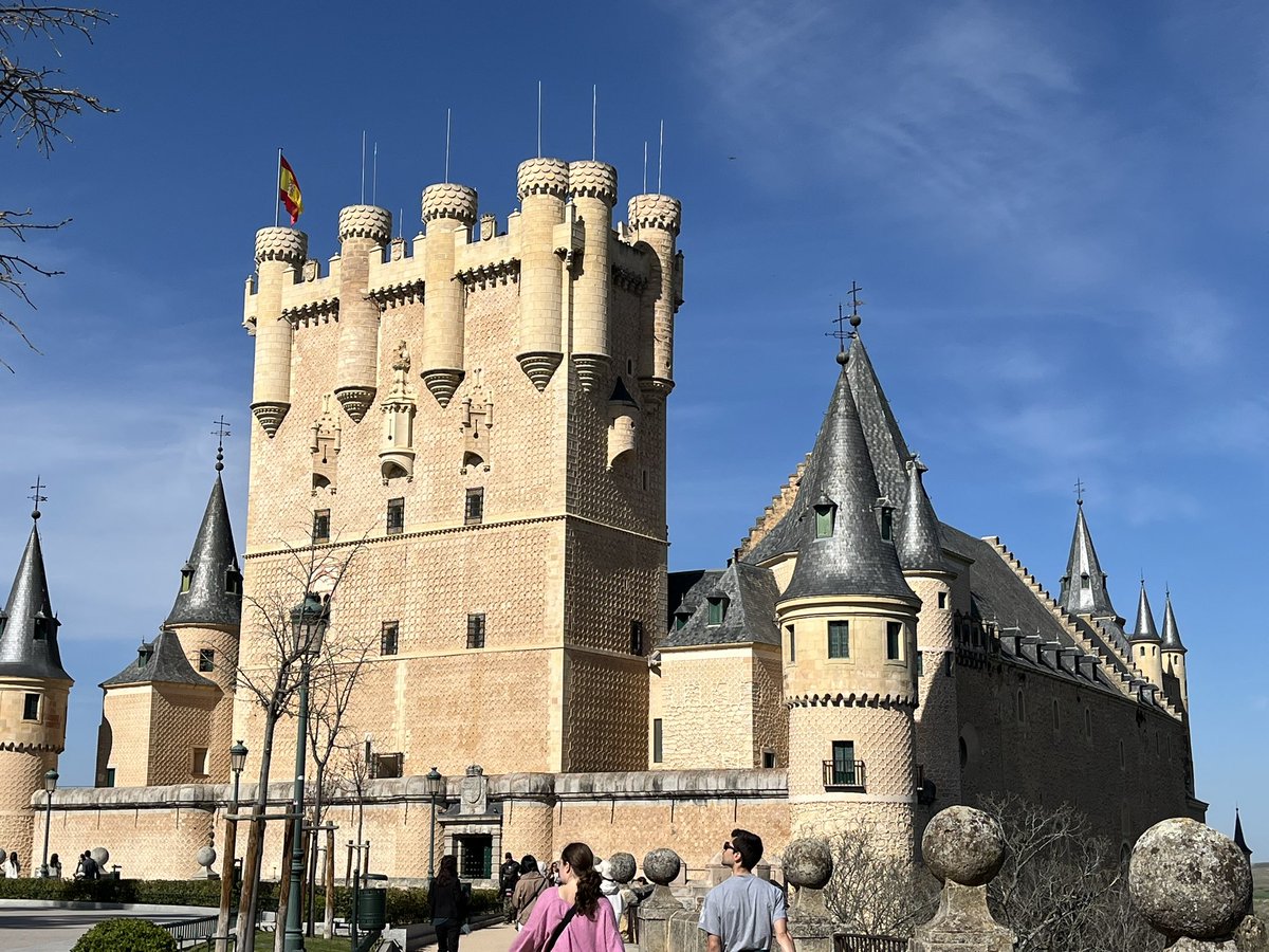 フリード/Friede tweet media