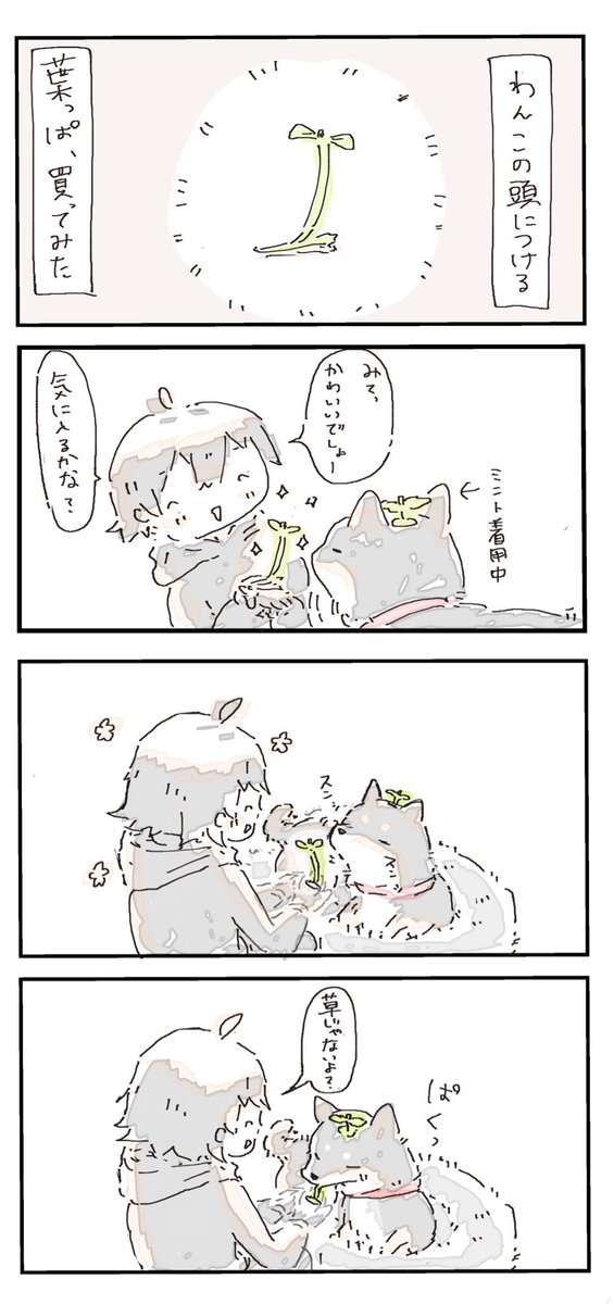 #4コマ漫画 #柴犬
らいのお気に入り(再掲) 