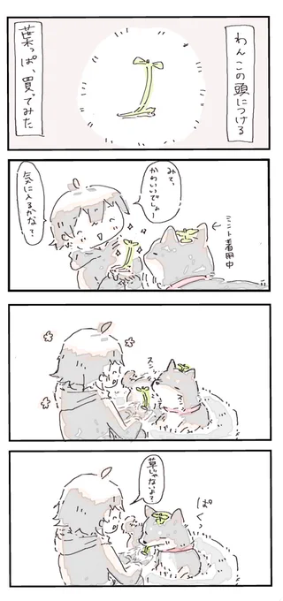 #4コマ漫画 #柴犬
らいのお気に入り(再掲) 