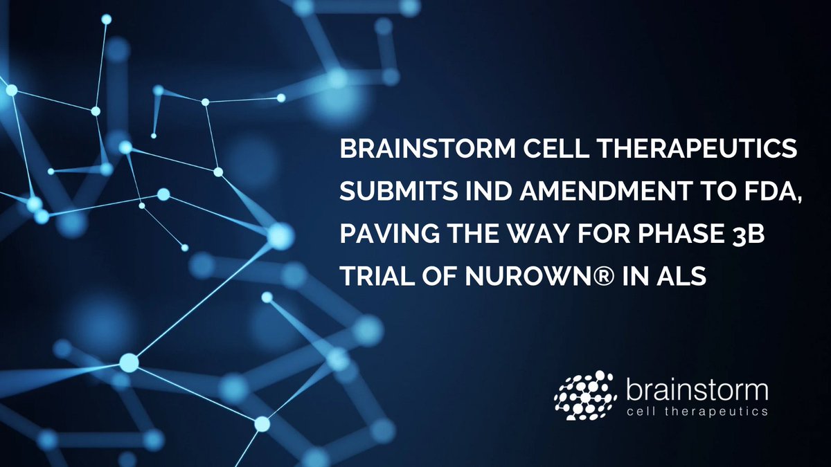 BrainStorm tweet media