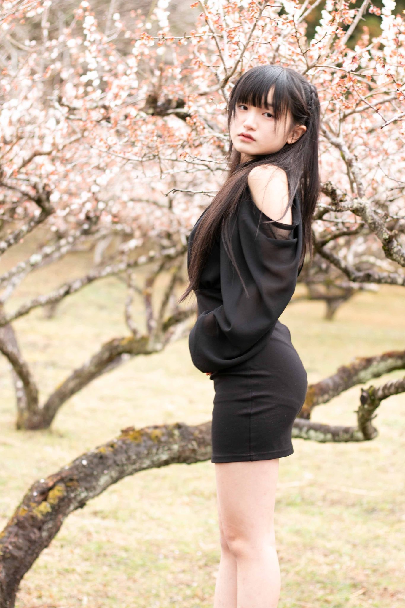 安達知江　ガール　girl　お花 まさ on X: 