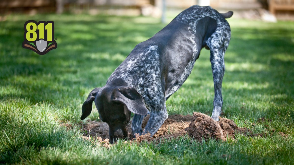 Spring’s here &amp; the dirt is calling! Got plans to dig/plant/build/create backyard magic? Be sure to #call811 first—your future self will thank you. Because nothing kills the vibe faster than hitting a gas line. #SafeDiggingMonth 💬 One call. No drama. Just good clean digging fun.