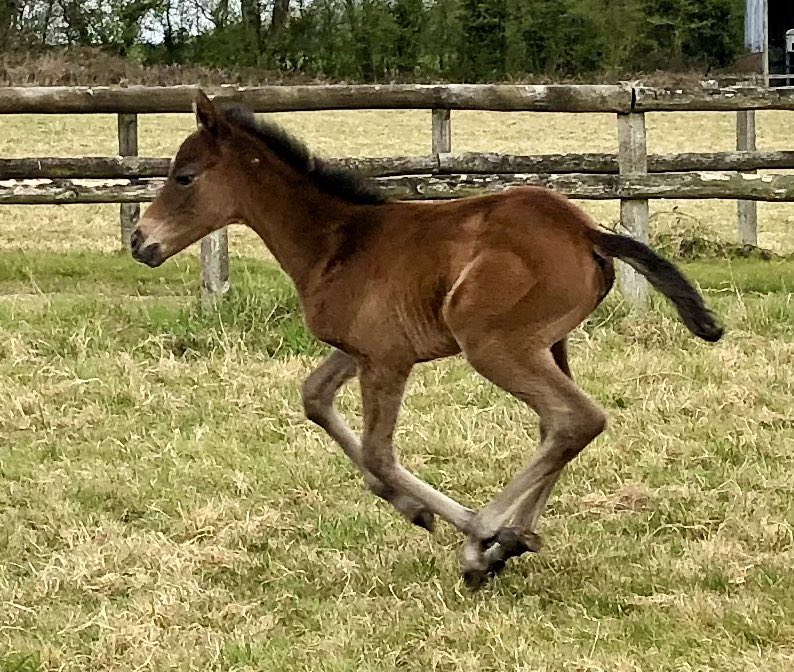 tim Cooper tweet media