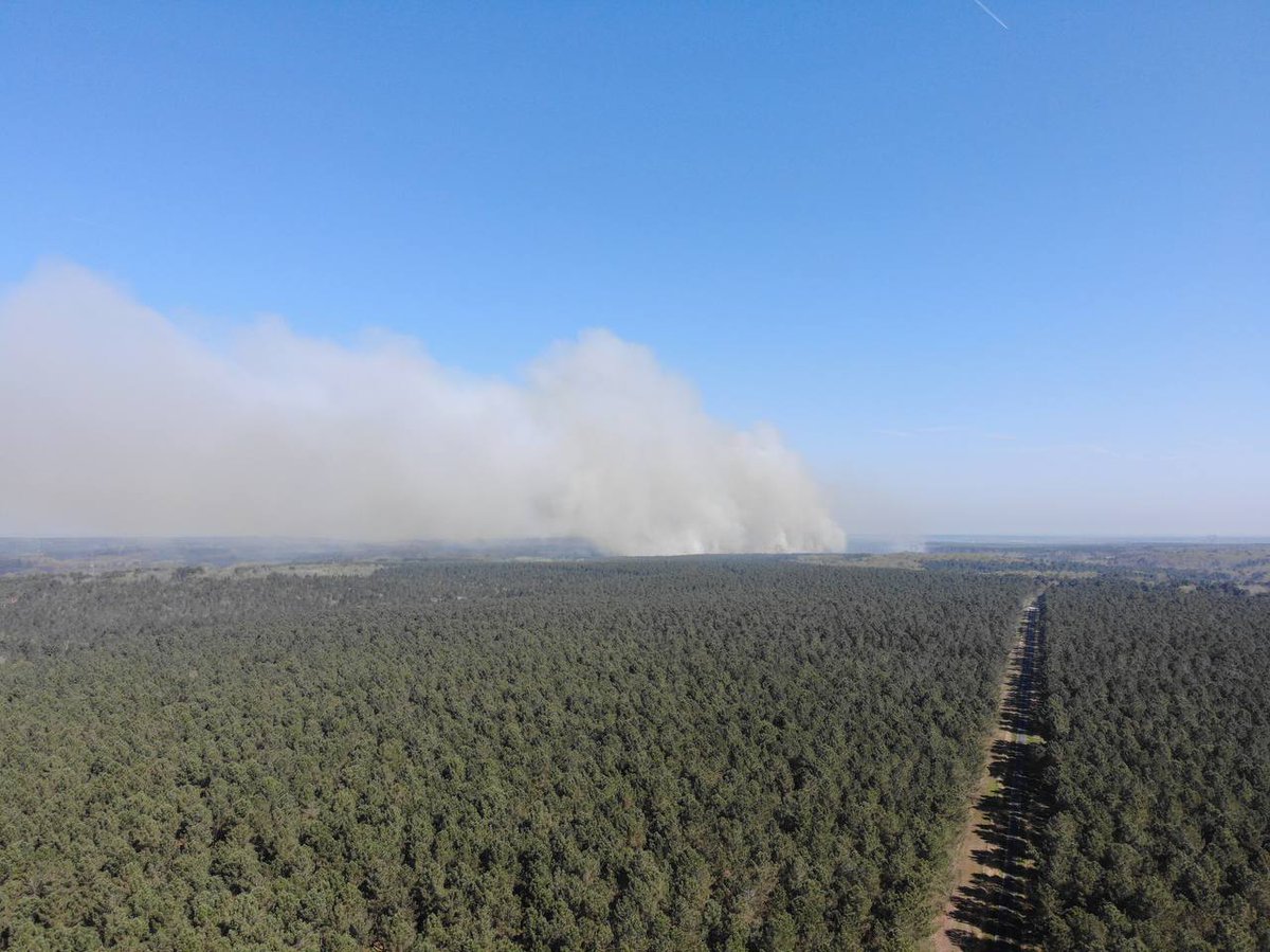 SecCivileFrance's tweet photo. 🔥🌲 #FeuDeForêt à Saint-Nicolas-de-Bourgeuil (37) :
plus de 130 sapeurs-pompiers du @SDIS_49 et @sdis37 sont mobilisés. 
🛩 2 #Canadair sont engagés en renfort et ont commencé les opérations de largage.
🚒 Des sapeurs-pompiers des @SDIS_72, @SDIS44, @pompiers36 et @sdis53 sont en transit pour leur prêter main forte.

⚠️ Évitez le secteur et suivez les consignes de sécurité du @Prefet49.