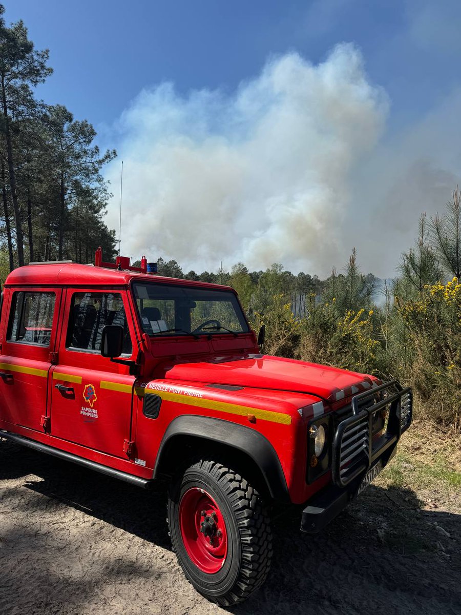 SecCivileFrance's tweet photo. 🔥🌲 #FeuDeForêt à Saint-Nicolas-de-Bourgeuil (37) :
plus de 130 sapeurs-pompiers du @SDIS_49 et @sdis37 sont mobilisés. 
🛩 2 #Canadair sont engagés en renfort et ont commencé les opérations de largage.
🚒 Des sapeurs-pompiers des @SDIS_72, @SDIS44, @pompiers36 et @sdis53 sont en transit pour leur prêter main forte.

⚠️ Évitez le secteur et suivez les consignes de sécurité du @Prefet49.