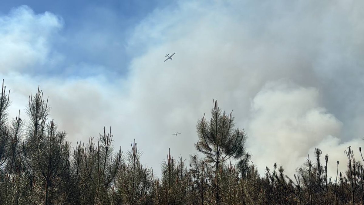 SecCivileFrance's tweet photo. 🔥🌲 #FeuDeForêt à Saint-Nicolas-de-Bourgeuil (37) :
plus de 130 sapeurs-pompiers du @SDIS_49 et @sdis37 sont mobilisés. 
🛩 2 #Canadair sont engagés en renfort et ont commencé les opérations de largage.
🚒 Des sapeurs-pompiers des @SDIS_72, @SDIS44, @pompiers36 et @sdis53 sont en transit pour leur prêter main forte.

⚠️ Évitez le secteur et suivez les consignes de sécurité du @Prefet49.
