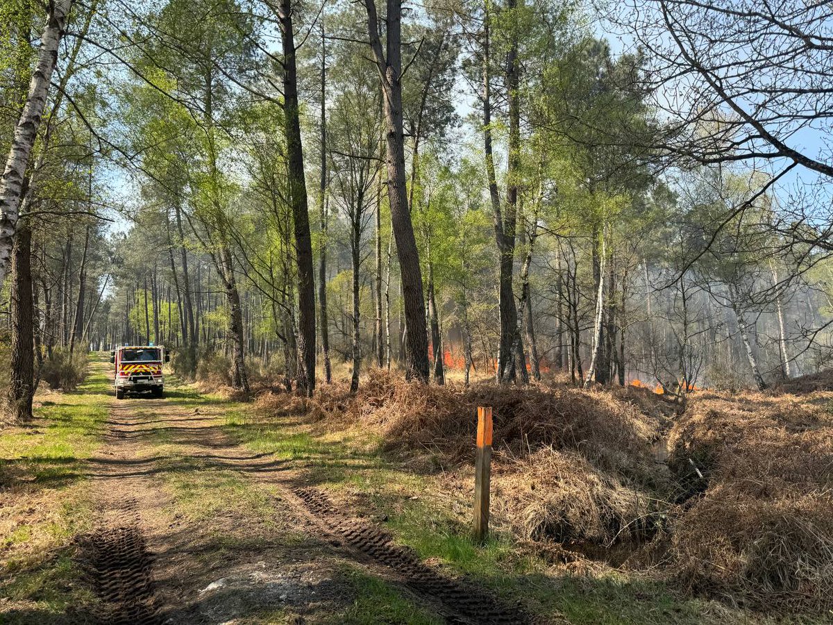 SecCivileFrance's tweet photo. 🔥🌲 #FeuDeForêt à Saint-Nicolas-de-Bourgeuil (37) :
plus de 130 sapeurs-pompiers du @SDIS_49 et @sdis37 sont mobilisés. 
🛩 2 #Canadair sont engagés en renfort et ont commencé les opérations de largage.
🚒 Des sapeurs-pompiers des @SDIS_72, @SDIS44, @pompiers36 et @sdis53 sont en transit pour leur prêter main forte.

⚠️ Évitez le secteur et suivez les consignes de sécurité du @Prefet49.
