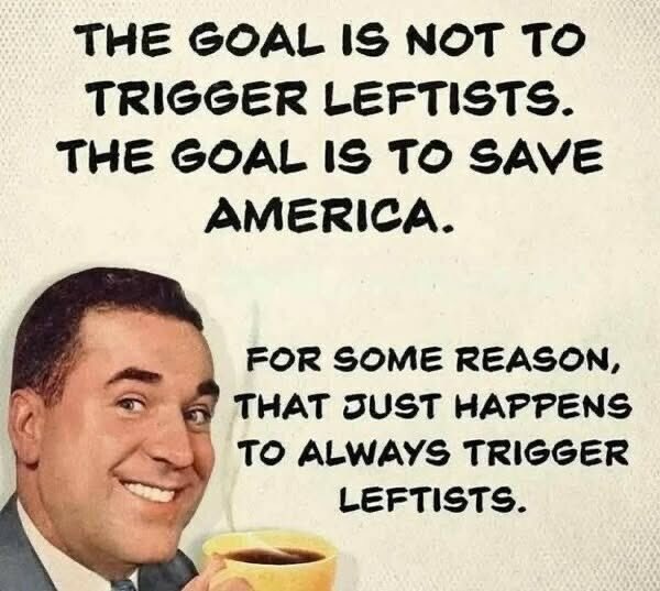 PoconoDubbs's tweet photo. @PressSec For some reason the liberals don’t like America. https://t.co/wHNKuGOUkn