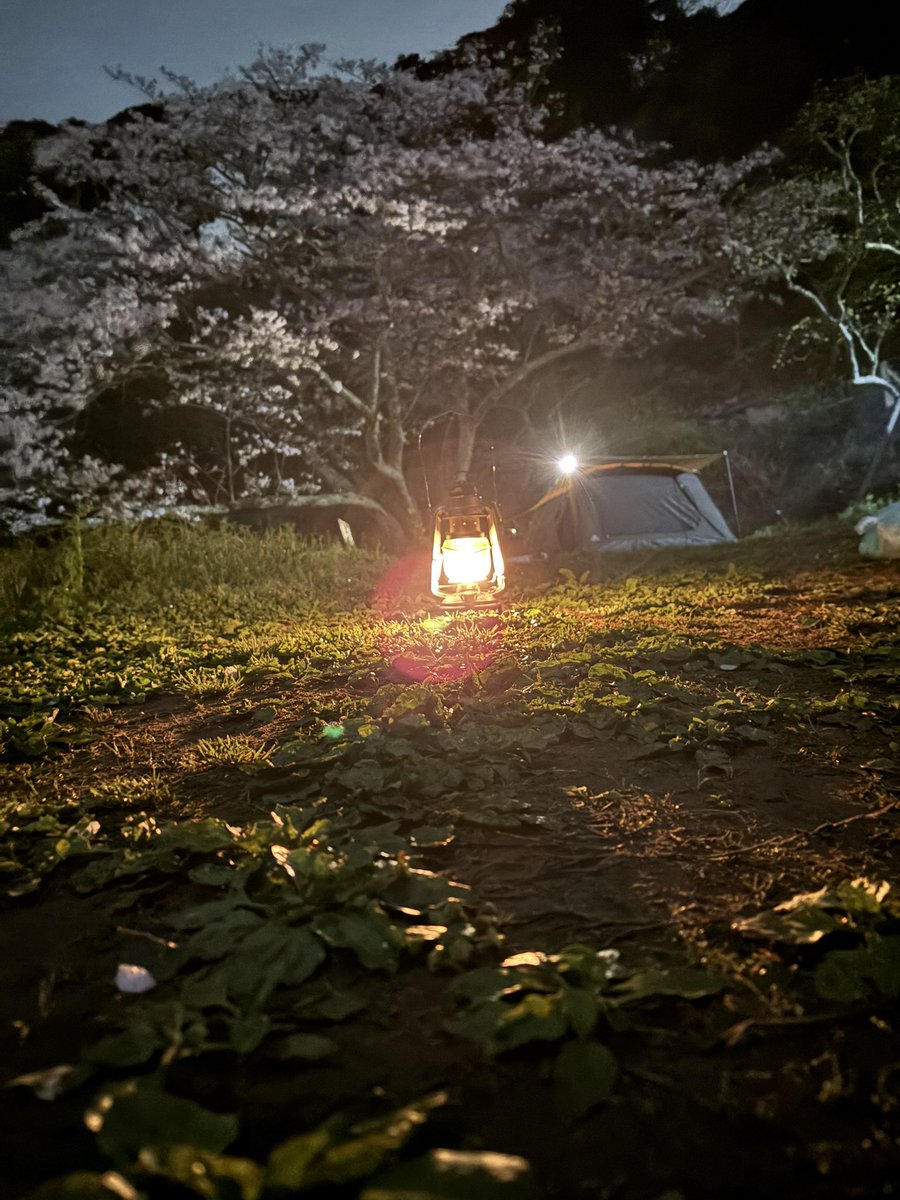 消灯！
おやすみなさい🌙
