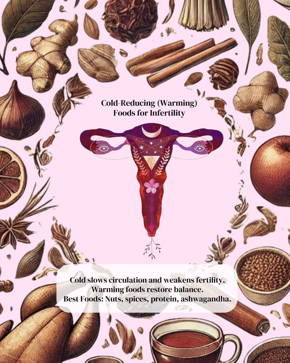 balancepointTCM's tweet photo. Fertility isn’t luck. It’s alignment. Sync with your cycle, warm your womb, and work with your body—not against it. Acupuncture helps optimize your chances of conception. Start your journey today.
#HormonalHealth #BoostFertility #TCM #WomensWellness #AcupunctureWorks https://t.co/jSGfHWQ3ll