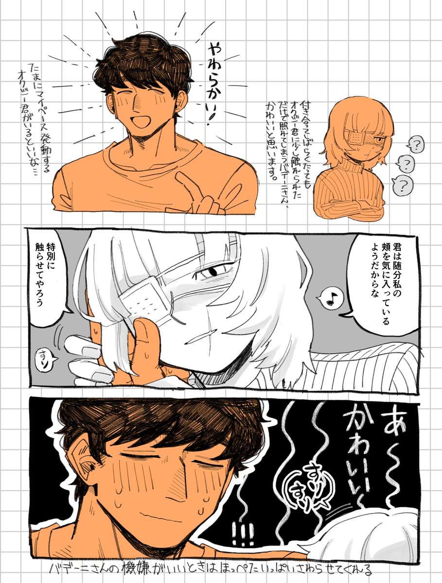 オクバデ落描き漫画
柔らかいらしいです 