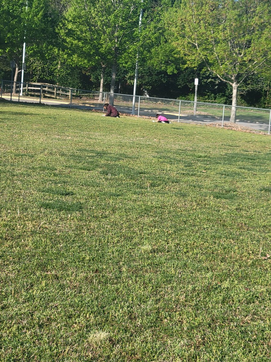 PaigeLPorter1's tweet photo. Math egg hunt was a HIT! Some eggs were empty, told you to hop like a bunny to the next egg and scream! The golden egg was hidden in my hair and was found... 20 minutes later. I love making such great memories with my third graders. 
#collegeparkelementary https://t.co/dnEit0Ue1e