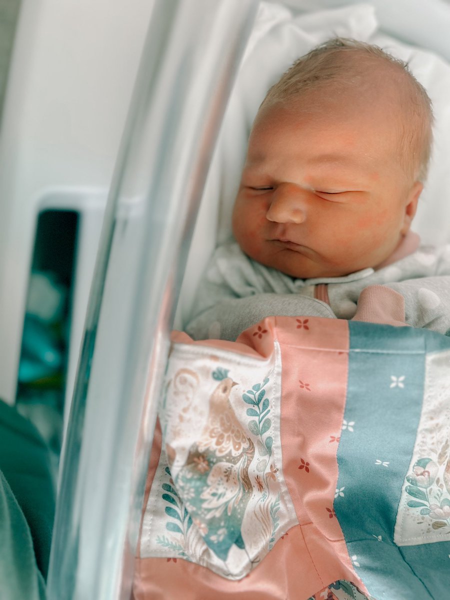 Katelyn Lovette tweet media