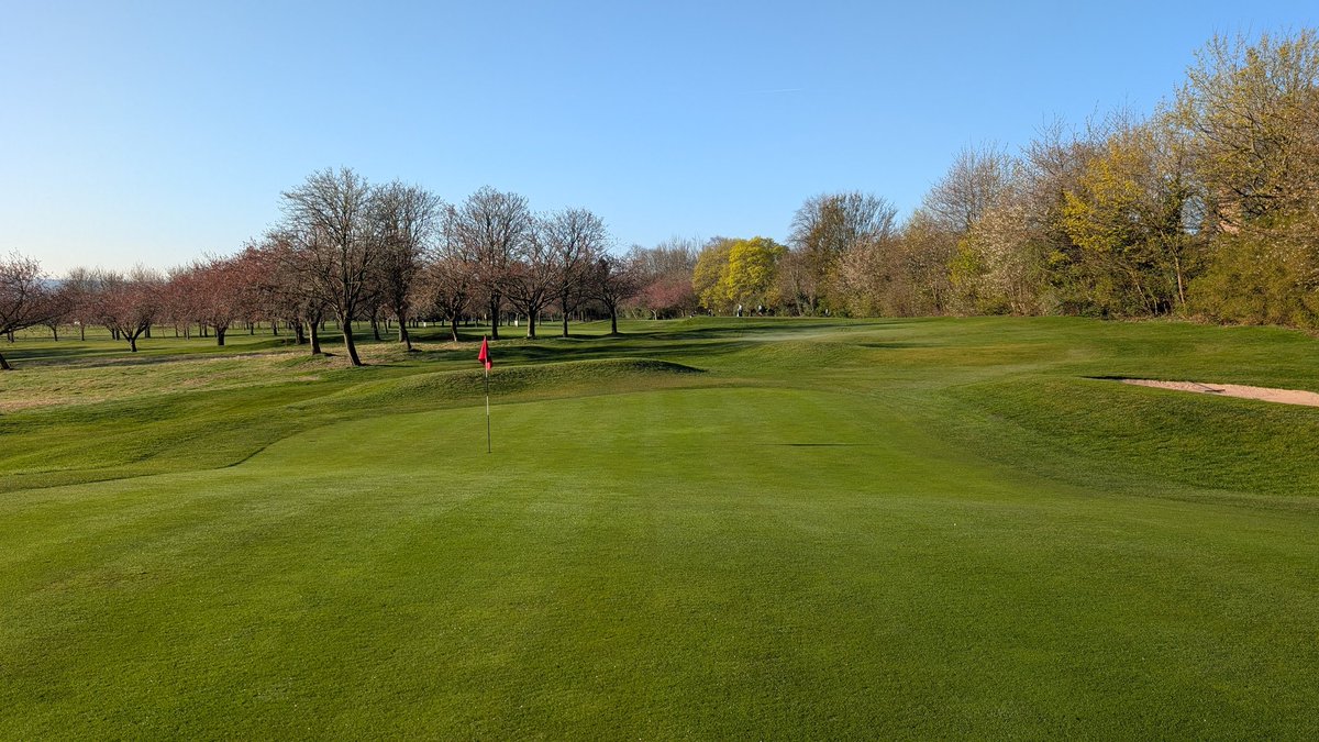 prestonfieldgc's tweet photo. The recovery from the greens maintenance has been slower than had been hoped but the recent nutrition applications and better temperatures have started to move things along. 

Grass tillering has begun and surfaces thickening up nicely. https://t.co/i7J9RFJsSA