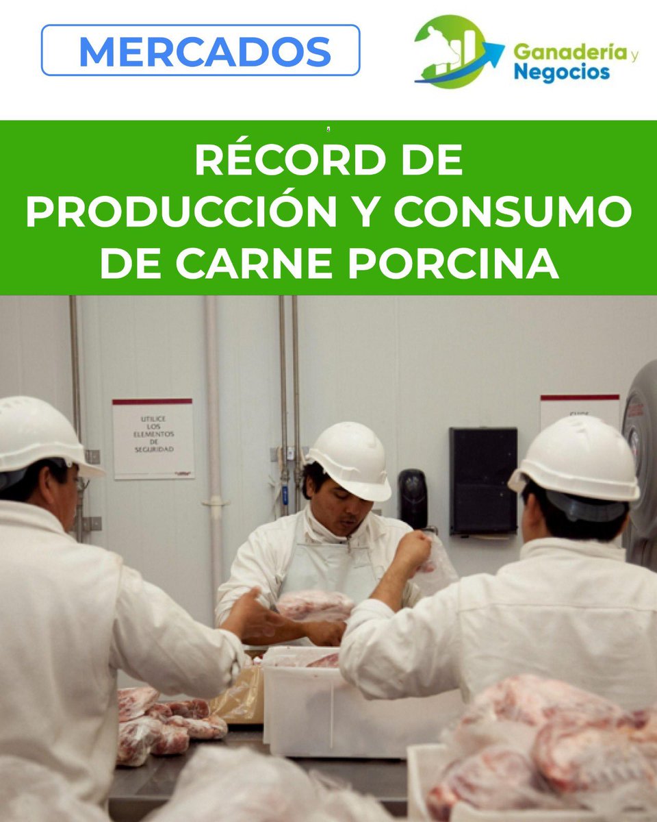 gynegocio's tweet photo. Entre enero y febrero de este año se produjeron 117.892 toneladas res con hueso de carne porcina, y el consumo per cápita se ubicó en 17,48 kilogramos por habitante durante febrero. 
https://t.co/iSQVSr6PeP https://t.co/1UOIUAwQkz