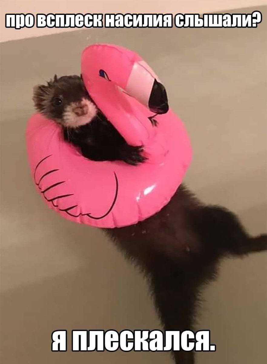 DantesDmitriy's tweet image. 