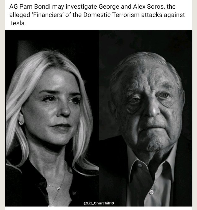 Would you support Attorney General Pam Bondi investigating George Soros for ruining America?