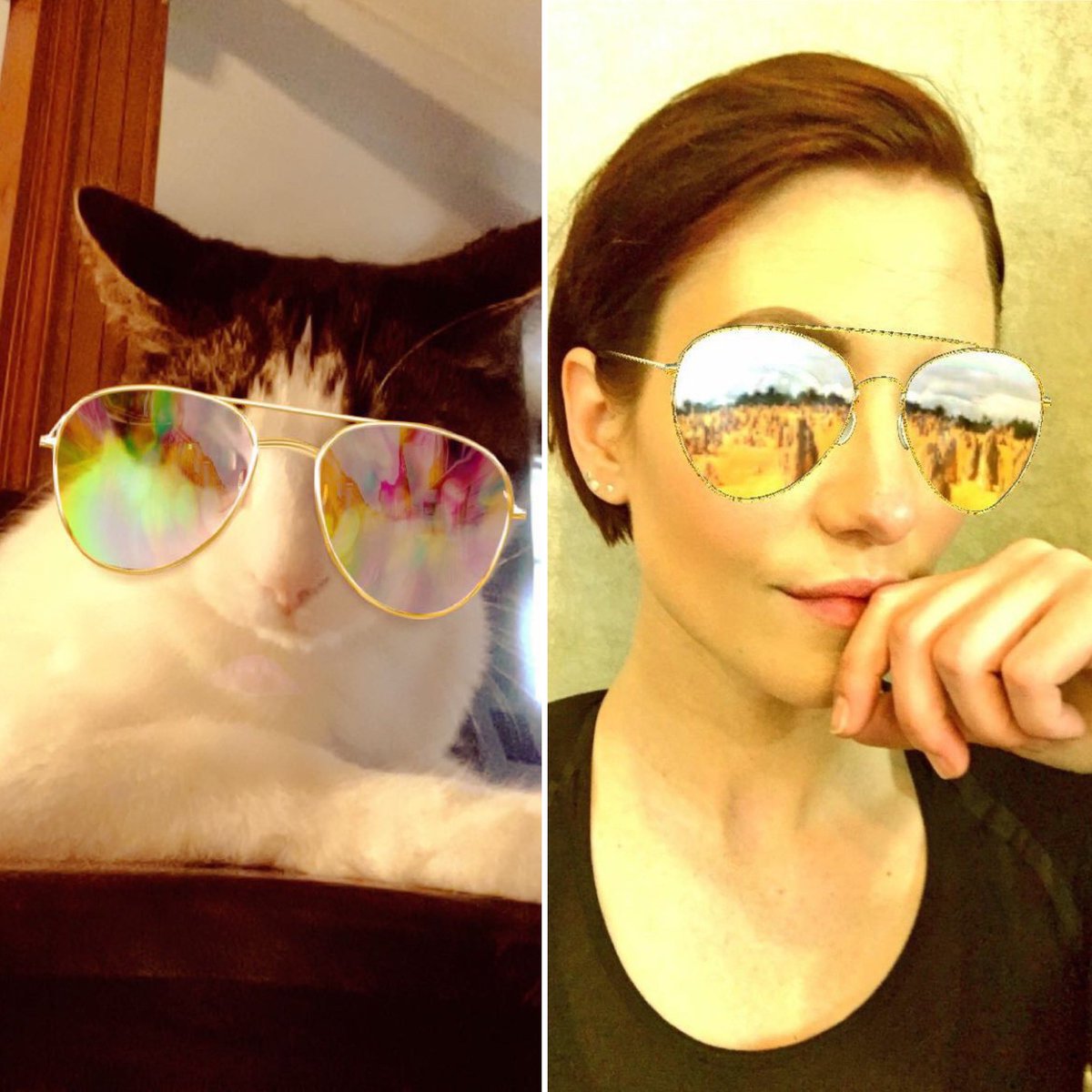 CurlyAsSanvers's tweet photo. Happy Birthday Chyler!!  Hope you have a fantastic day! 🙂

#Sanvers #Flyler #CurlyAsSanvers #ChylerLeigh #curlythecat @chy_leigh https://t.co/DXGp4DHsI0