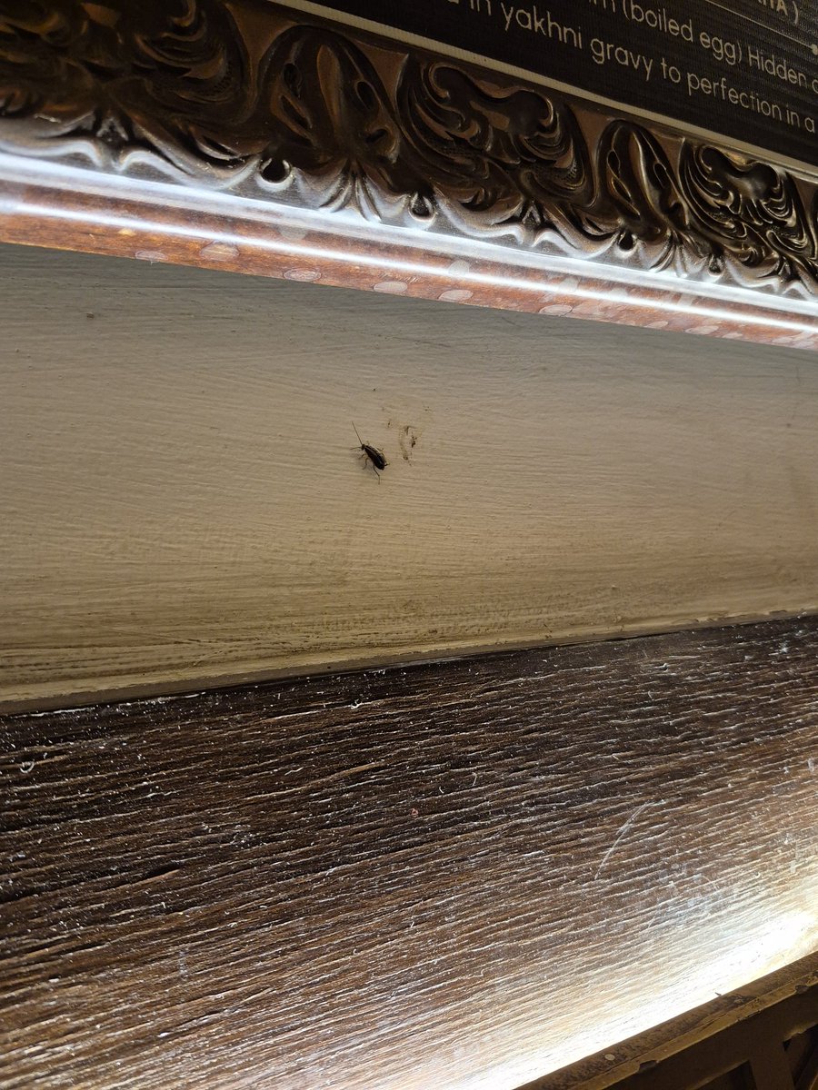 Pulkit jain tweet media